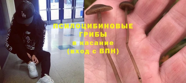 PSILOCYBIN Бородино