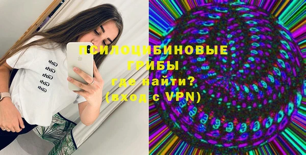 PSILOCYBIN Бородино