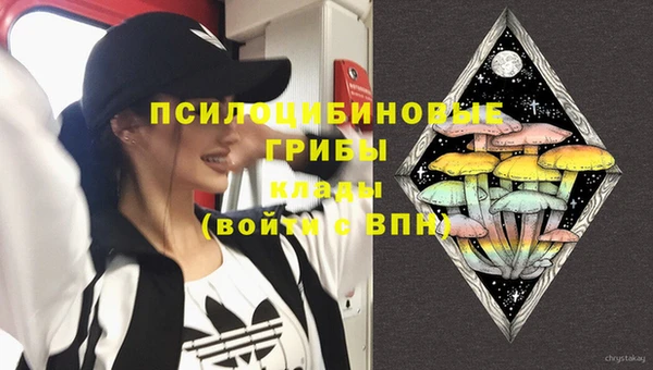 PSILOCYBIN Бородино
