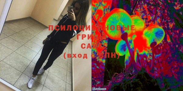 PSILOCYBIN Бородино