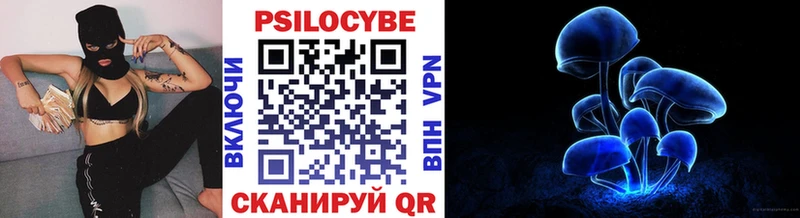 купить наркотик  Нея  Галлюциногенные грибы Psilocybine cubensis 